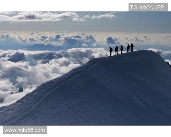 重庆极限运动队荣登全国团队协作排行榜第4名展现卓越实力与团队精神