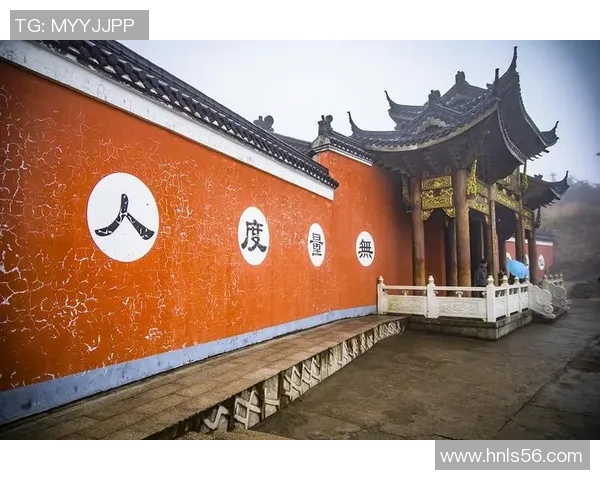 金华姚明菊的传奇故事与文化传承探秘之旅